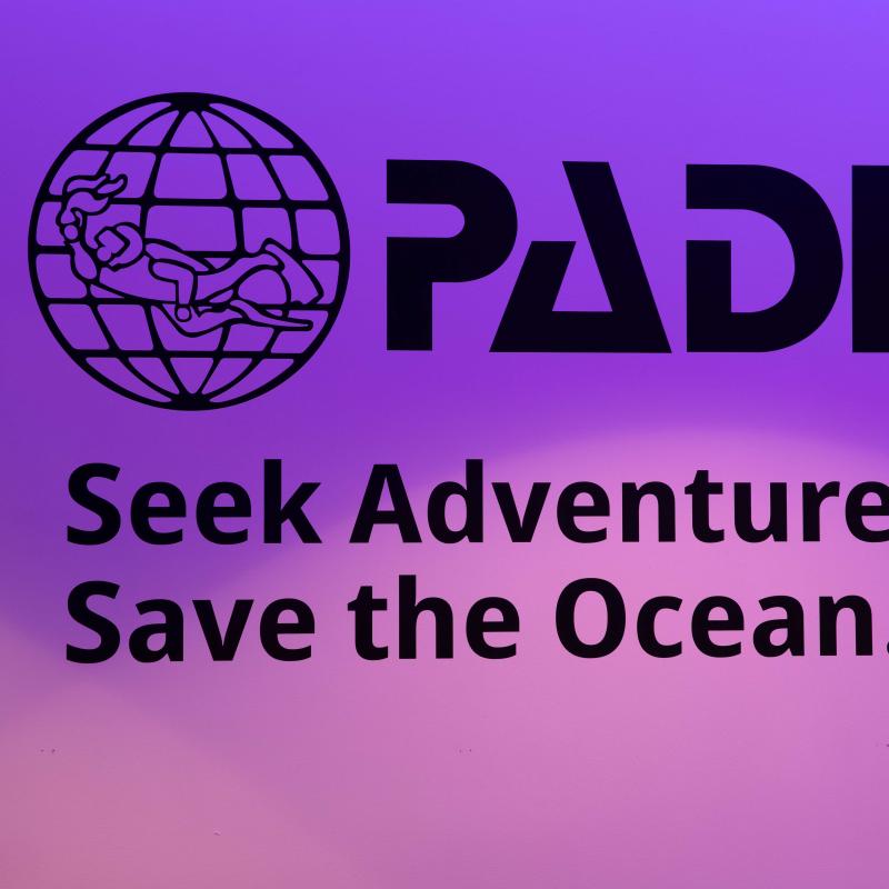 nomadik hub dive center